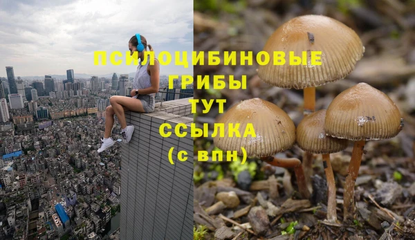 MESCALINE Абаза