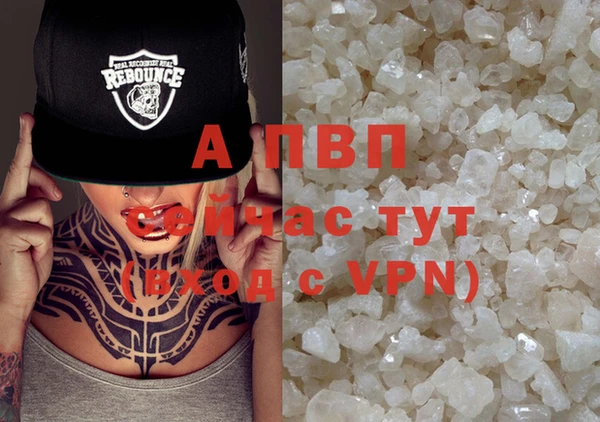 прущие грибы Абдулино