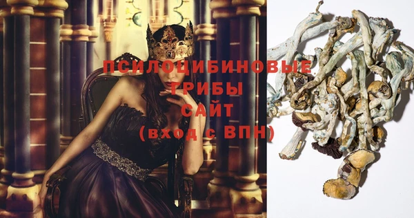 винт Абинск