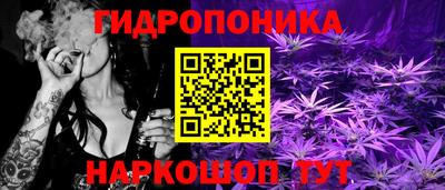 дурь Гусев