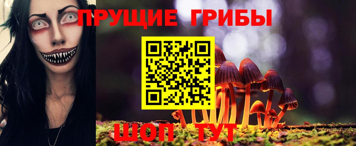 Мурино  Галлюциногенные грибы GOLDEN TEACHER  Вход с VPN  Псилоцибиновые грибы мухоморы 