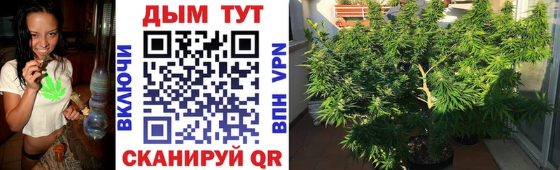 купить закладку  Мурино  Каннабис THC 21% 